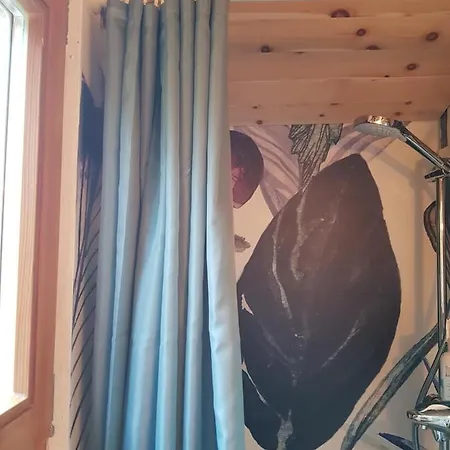 Holiday home Zirbenholz Tiny House 