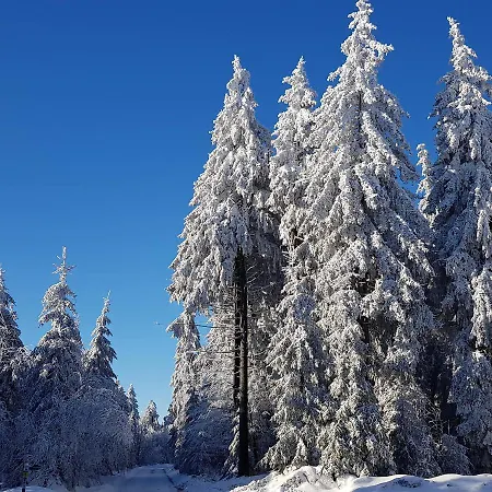 Zirbenholz Tiny House 