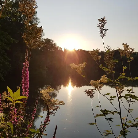 Zirbenholz Tiny House 