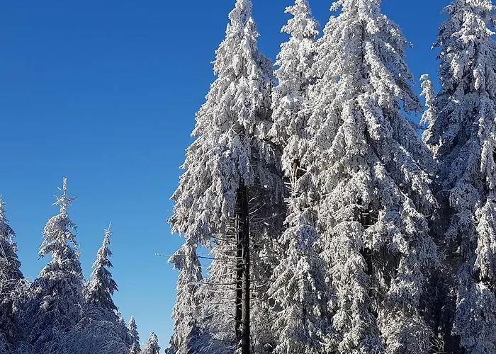 Zirbenholz Tiny House 