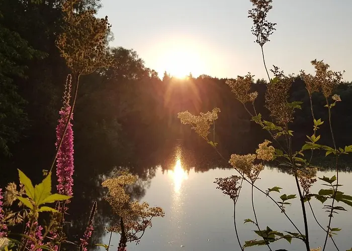 Zirbenholz Tiny House 