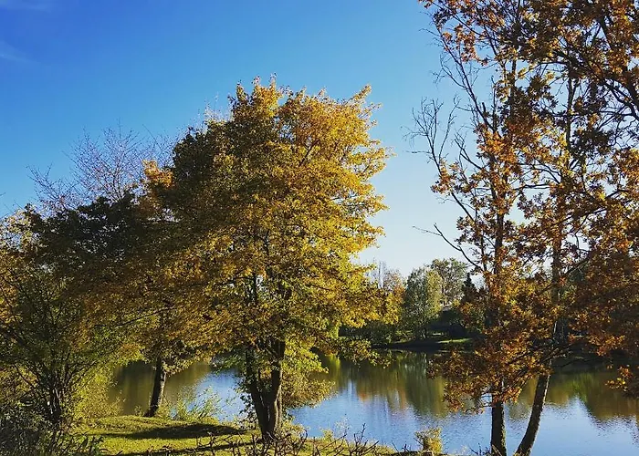 Nyaraló Zirbenholz Tiny House 