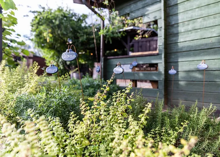 度假居 Zirbenholz Tiny House 